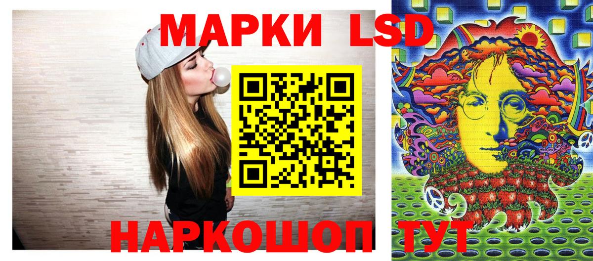 Галлюциногенные грибы Невинномысск
