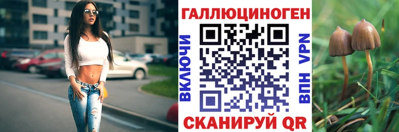 Галлюциногенные грибы MAGIC MUSHROOMS  как найти наркотики  Невинномысск 