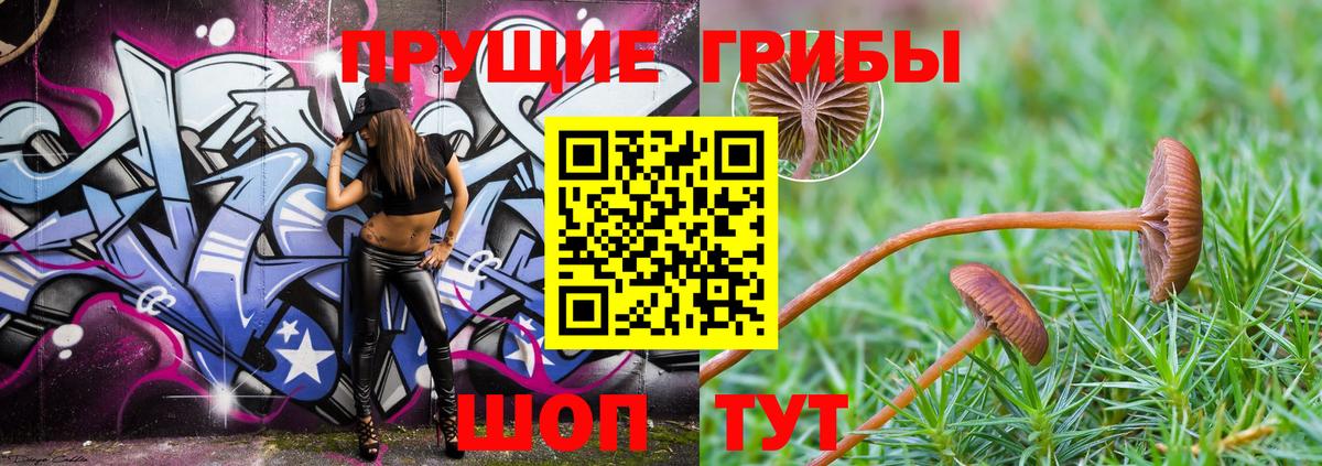 Невинномысск  Галлюциногенные грибы Magic Shrooms  как найти закладки  Вход с VPN  Галлюциногенные грибы MAGIC MUSHROOMS 