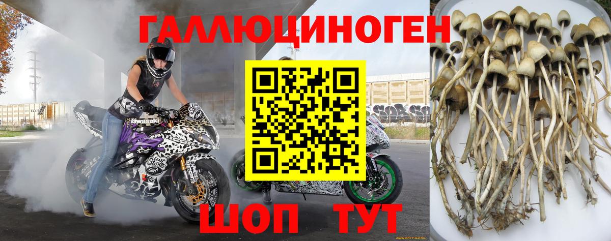 A-PVP  МАРИХУАНА  Бошки Шишки  Вход с VPN  Невинномысск  Кокаин  Меф 