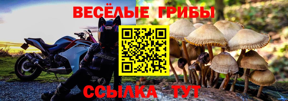 Галлюциногенные грибы ЛСД Невинномысск